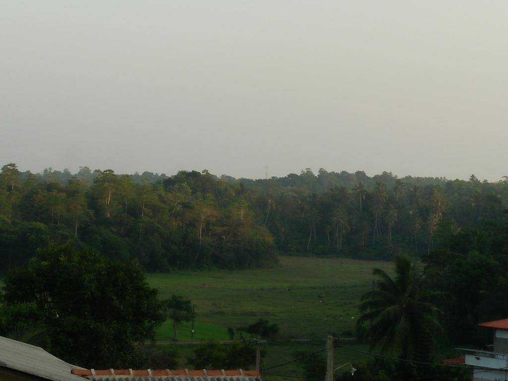 Villa Hilltop By Yehansa With Unlimited Fiber Wifi Hikkaduwa Buitenkant foto
